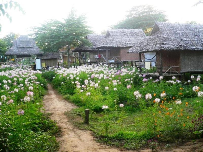 Family Hut Pai Hotel Ngoại thất bức ảnh