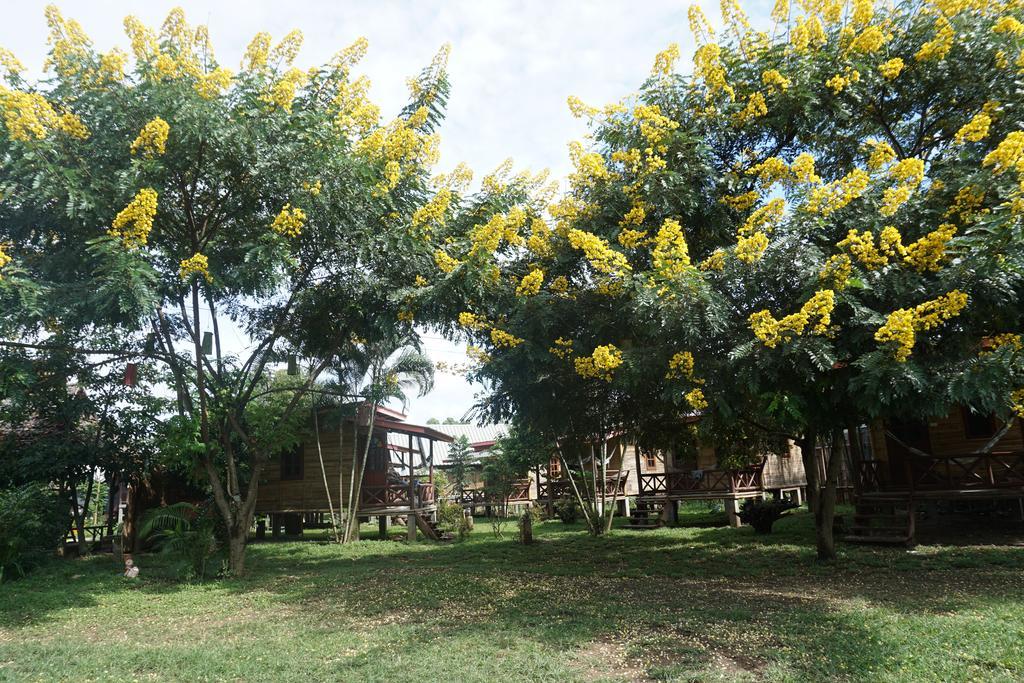 Family Hut Pai Hotel Ngoại thất bức ảnh